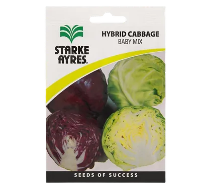 Cabbage Seeds